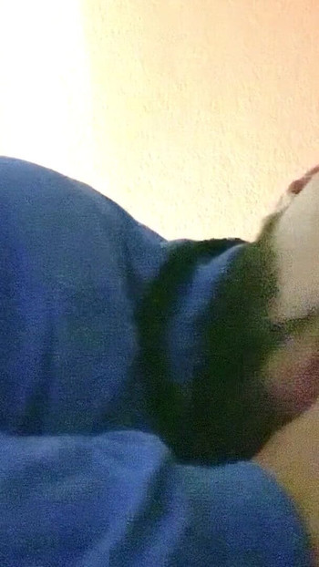 Spectacular moment from "My friends curious straight dad loves his dick in my mouth"