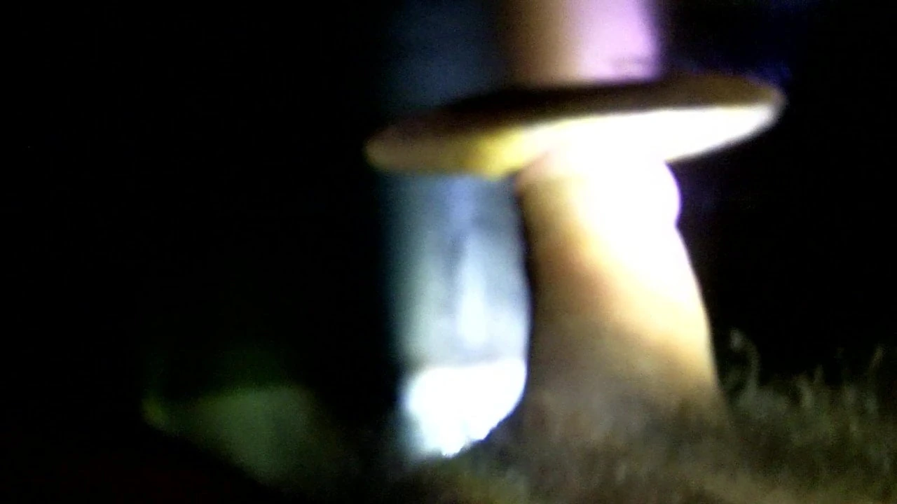 My cock at a glory hole