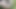 Making myself cum in the woods and then peeing on my balls feels so nice