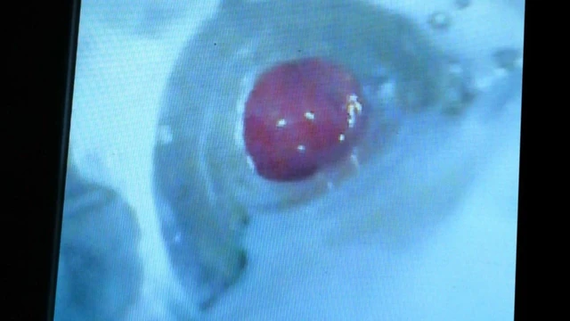 cum inside my fleshlight