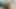 きゅうりの楽しみ