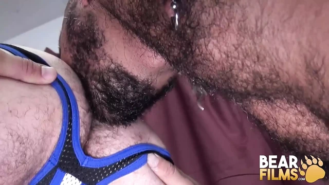 BEARFILMS Hairy Alessio Romero Breed With Daddy Derek Silver