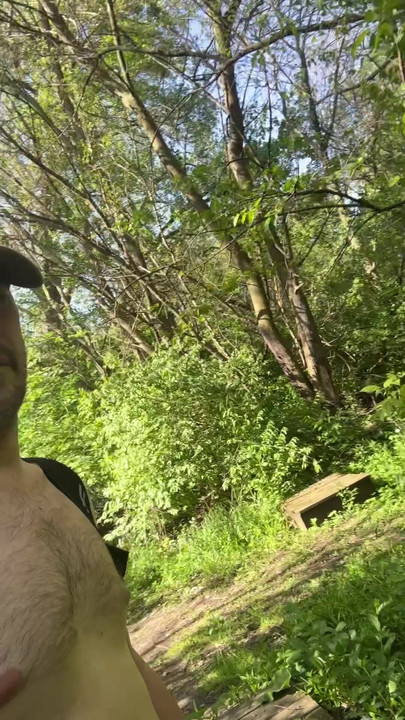 Tko me čeka u šumi?