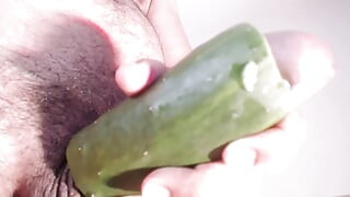 水果手淫。塞满黄瓜