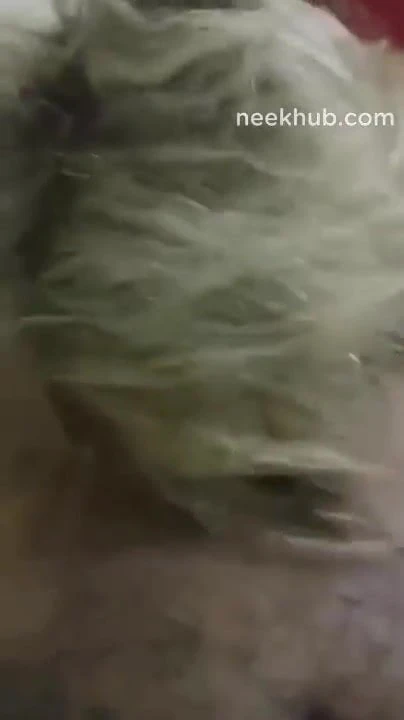 arab granny blowjob