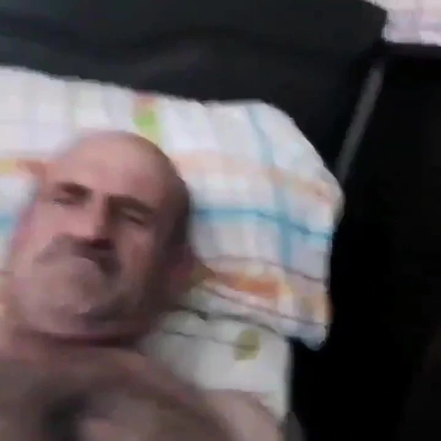 Turkish bear jerking off
