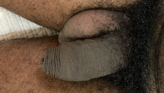 Bush Man Hairy Cock and Balls