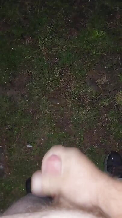 Almost Caught in a Park