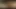 Nggak sengaja dibangunin sama gadis remaja Asia yang sange sambil coli dan nyepong kontol POV