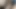 Tease black pussy