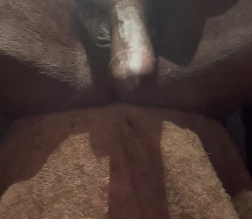 Fun times who wants to join the fun