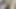 uncut big cock Sri lanka HD sapak dennako