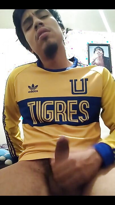 Andiamo Tigri, sto tornando ricco.