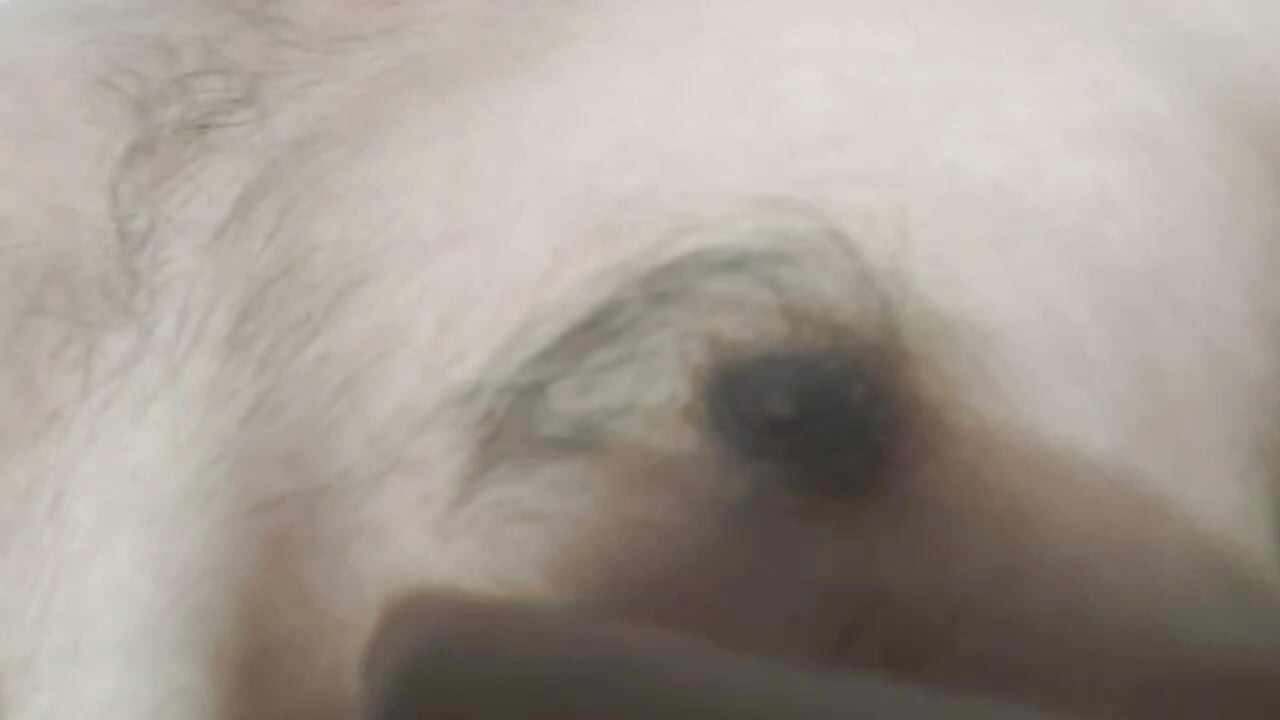 Leela lutscht ihre möpse auch leela, die auf ihren freund wartet