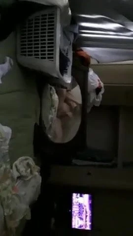 VERBAL XL DADDY COCK