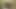 sürtük eşimi seviyorum