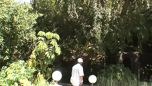 Tilki Her Şeyi Yiyor (Bölüm 2)