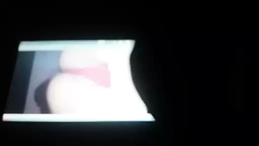 SOP