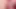 Self suck: Our cocks are big and hard. Would be too bad not to show that, very close and in POV