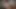 HUGE AND HAIRY COCK man cums after arriving from work # 1 (SHORT AND CENSORED VERSION)
