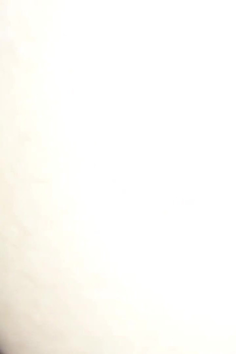 毛深い膣と私は中出しをする