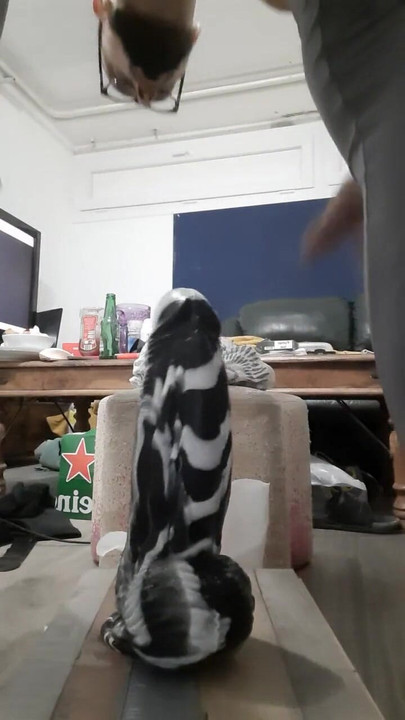 New Toy for the Slut | Clip 2