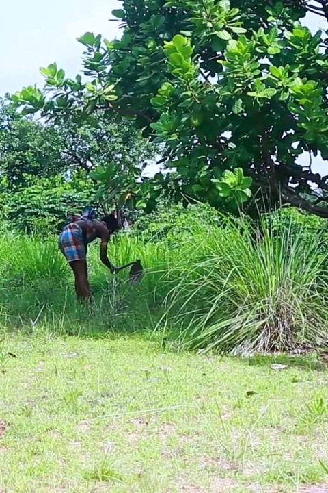 Anal outdoor, caught her working in farm I have to cum in her ass