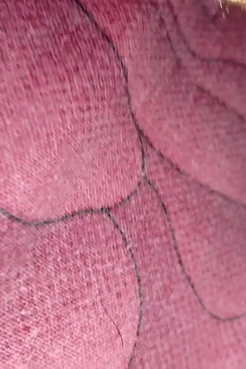 Fucked Neighbour Bhabhi While Stepson Playing.part 2