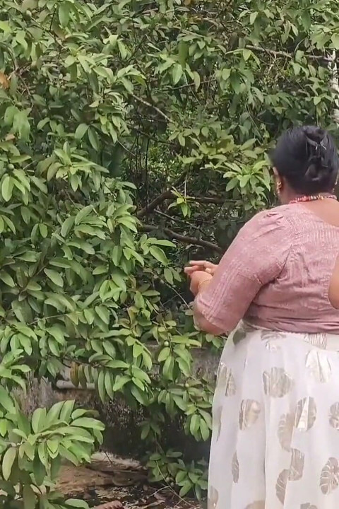 来自印度的裸体主义者在户外放松, 吃新鲜的水果并享受它