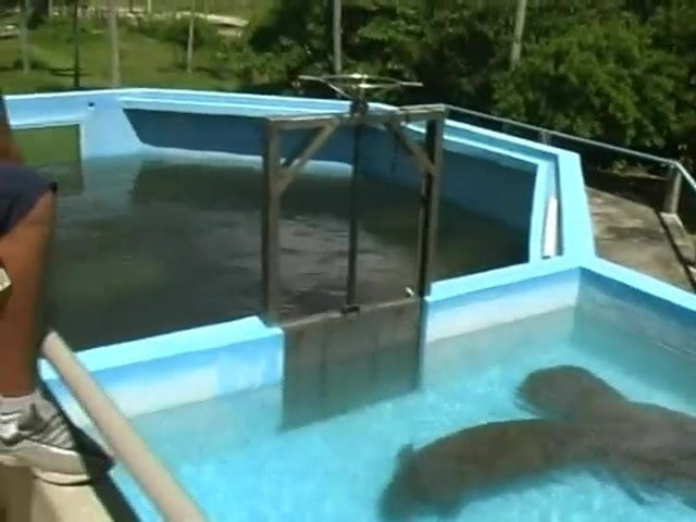 Seks bertiga di luar