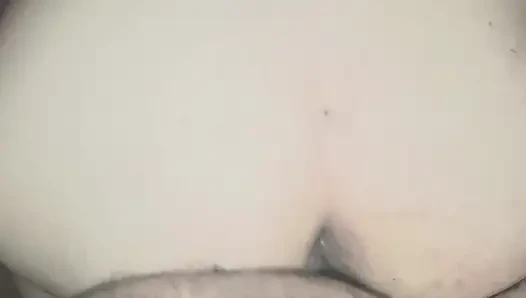 of a puppy