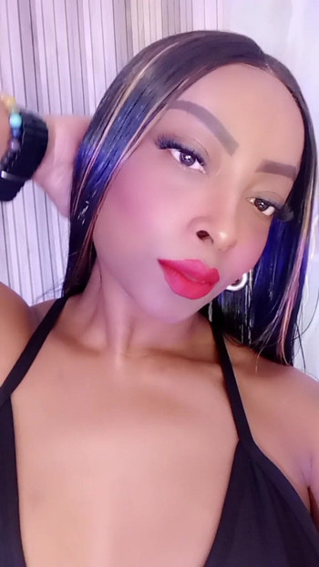 Pregled videozapisa