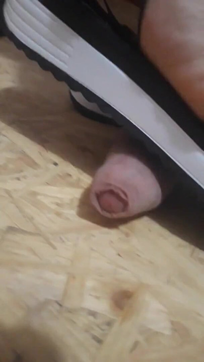 Cock Trampling With Sandals | Clip 1