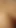 Thrilling moment from "Tiny Latina Teen First Time Anal Pounded In Rough Amateur Audition"