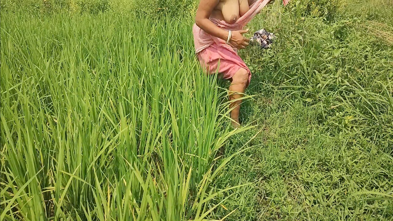 Разчистих тревата в оризището, направих малко място и пикая.Mp4