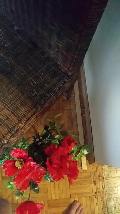 Watering my flowers