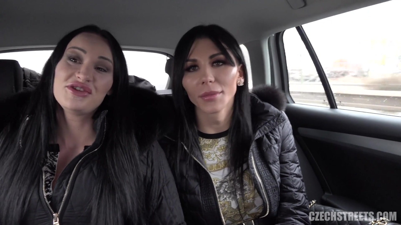 チェコの街 - ディックスとひよこ