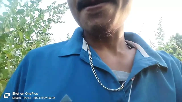 Now making jungle videos