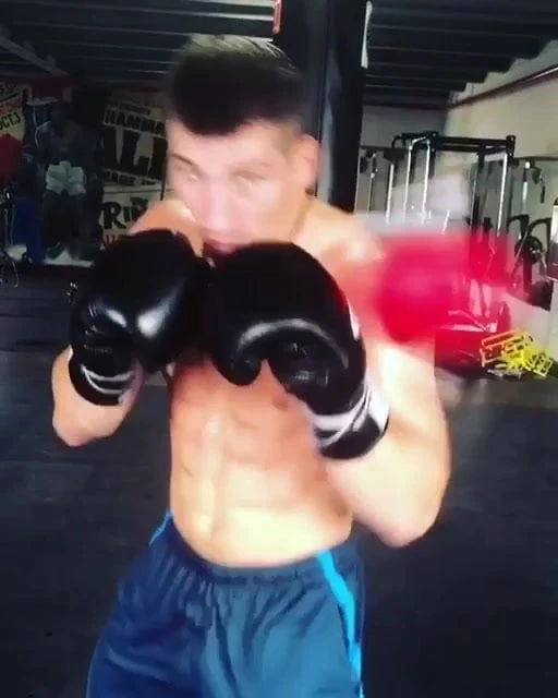 Boxer training