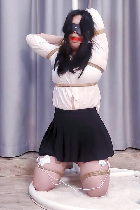 Electric Shock Whipping