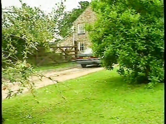 Mammary Manor (1991)