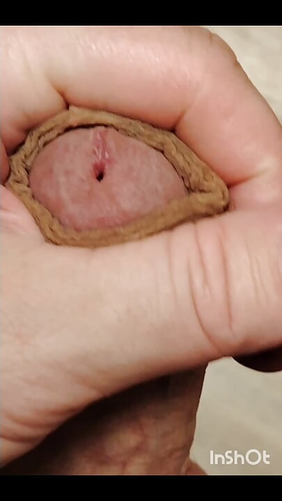 Cumshot-samling remastret