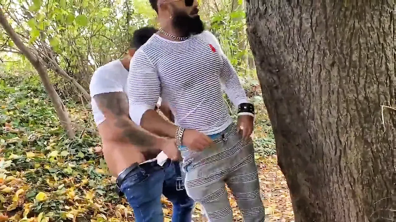 Rfc hotpark viktor rom e peludo sam