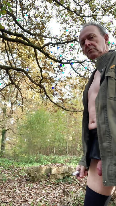 Walk in the forest