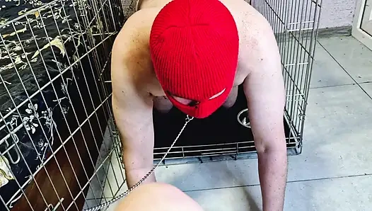 Доминатрикс Ника позволяет рабу выползти из клетки, чтобы он целовал, облизывал ее ступни, сосал пальчики на ее ногах.