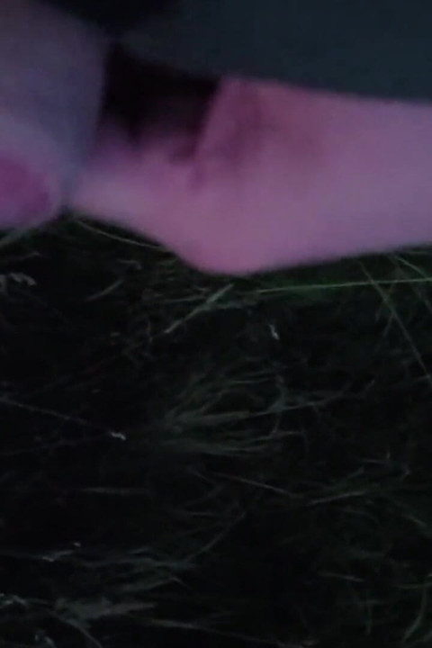 Nice Wank in the Park