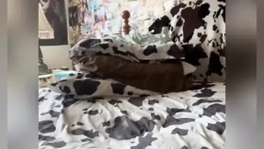 Şişman kedi derlemesi