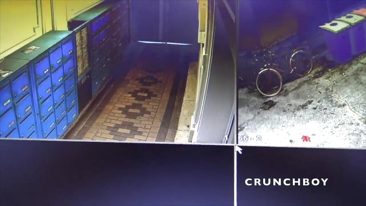 Jess fucked raw by a straight boy curious with a big dick