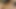 Korea1818.com - gerçek otantik kore pornosu - üçüncü fragman