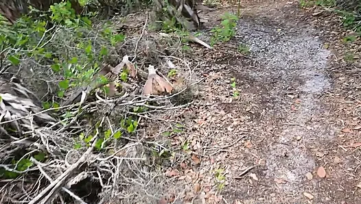 Bts Nature Walk and Masturbation on Trail